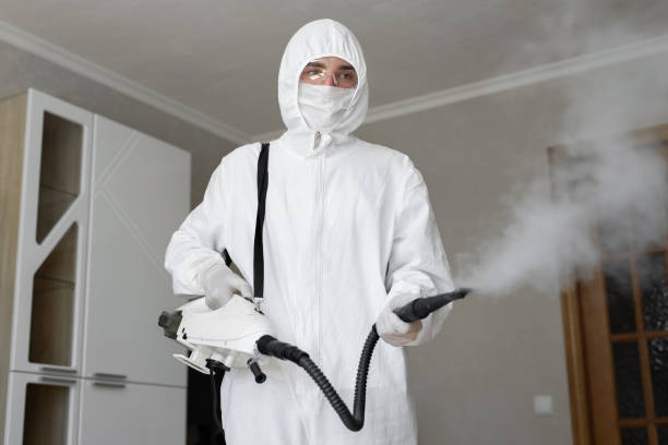 Best Biohazard Mold Removal  in Midway, NC